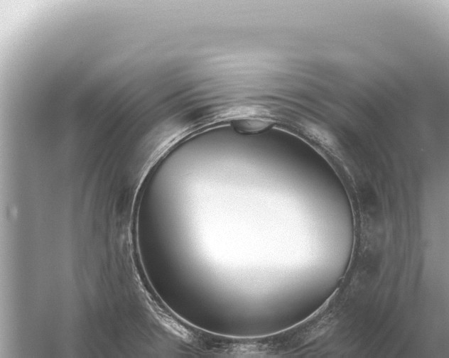 X0000059061330200510212016