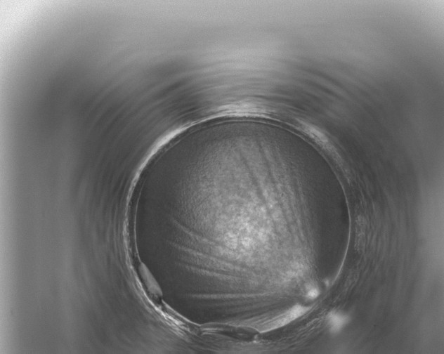 X0000059061331200510212016