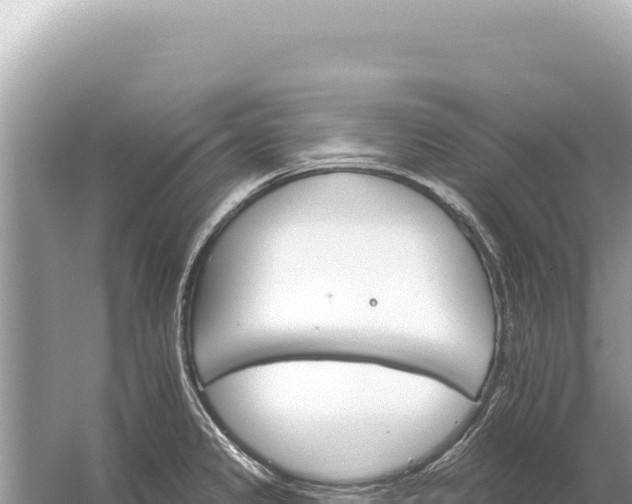 X0000059061333200510212016