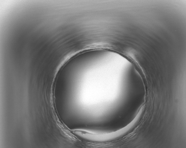 X0000059061336200510212016