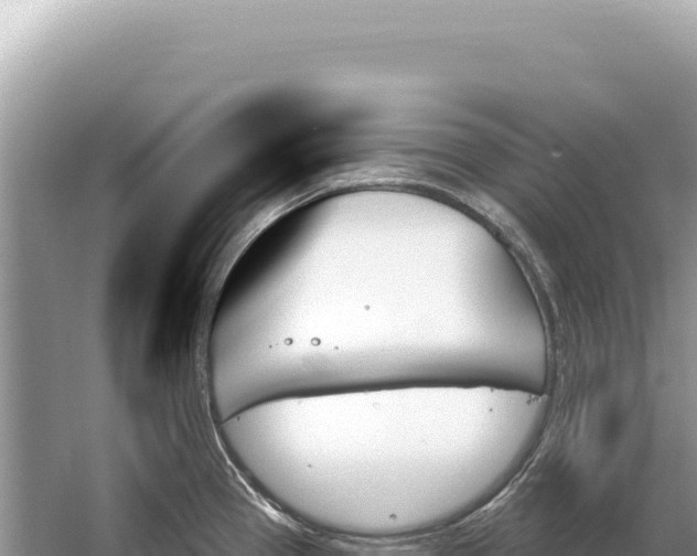 X0000059061337200510212016