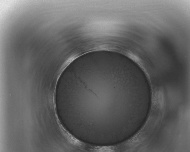 X0000059061338200510212016