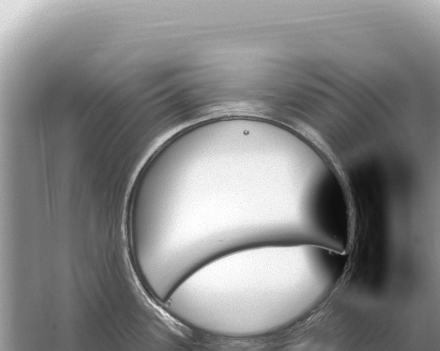 X0000059061339200510212016