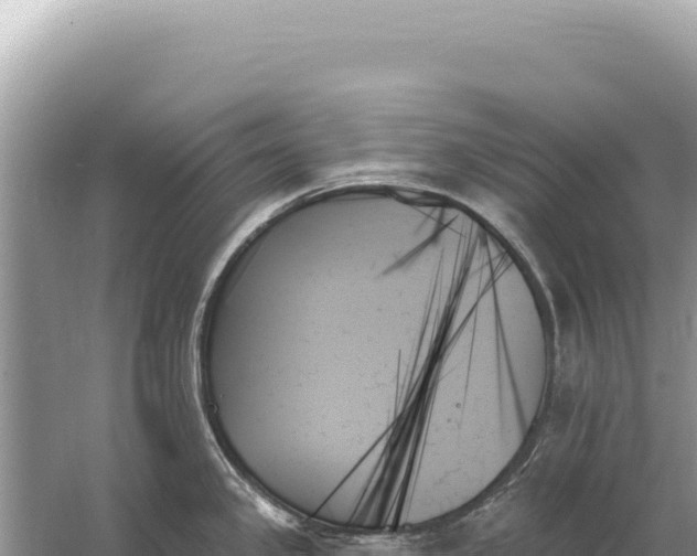 X0000059061341200510212016