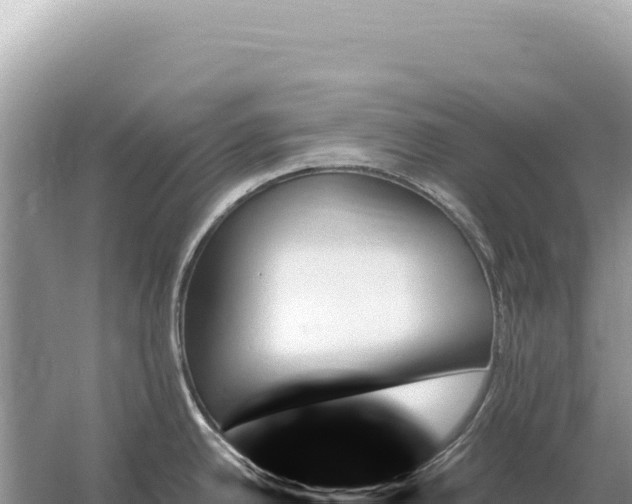 X0000059061342200510212016