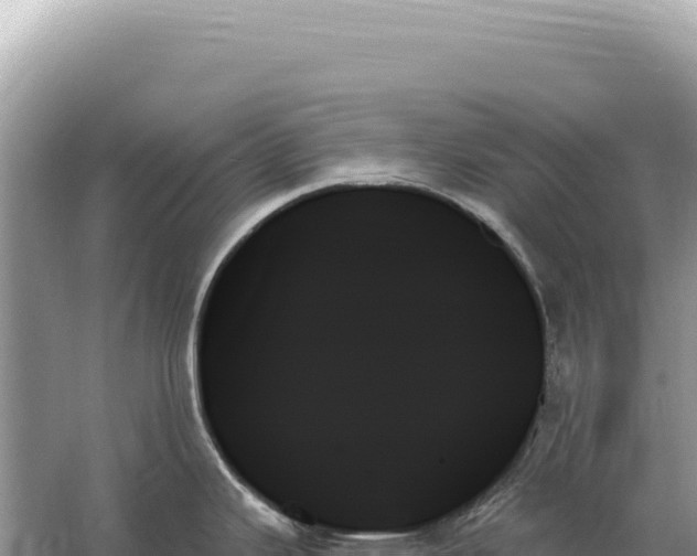 X0000059061343200510212016