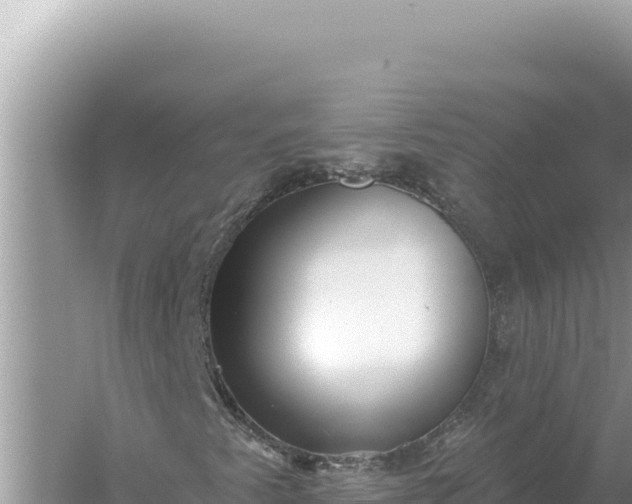 X0000059061345200510212016