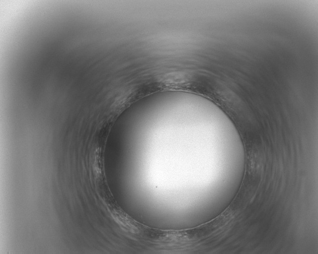 X0000059061346200510212016