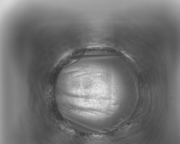 X0000059061351200510212015