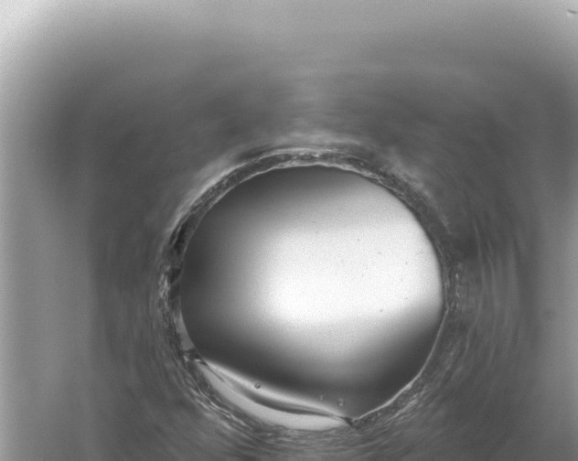 X0000059061352200510212015