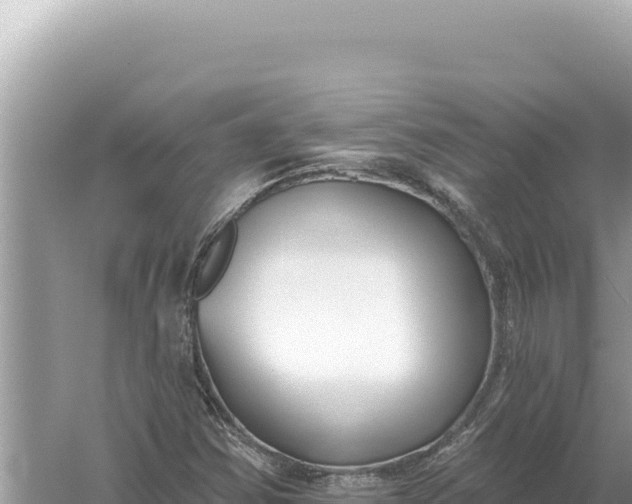 X0000059061354200510212015