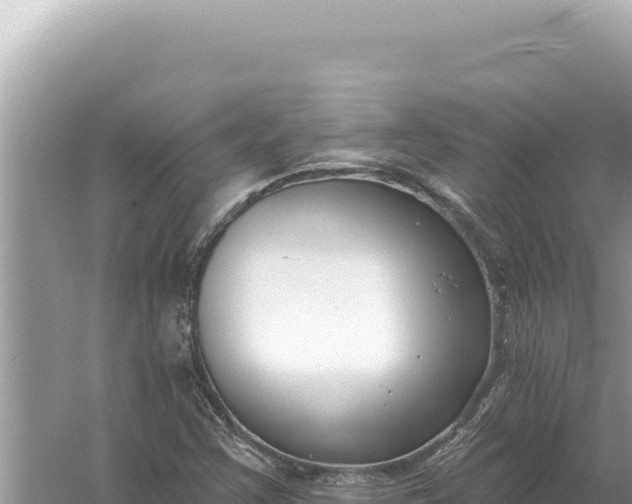 X0000059061355200510212015