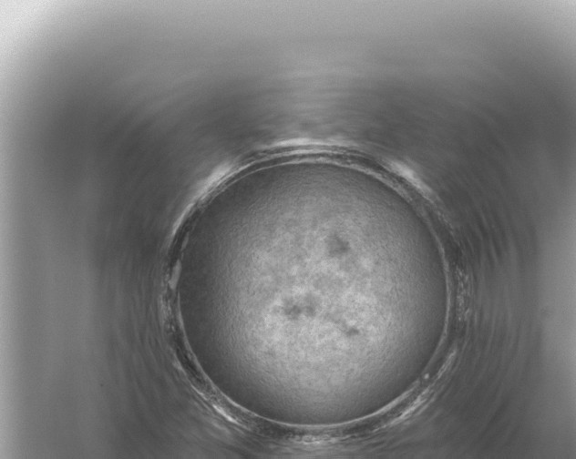 X0000059061357200510212015