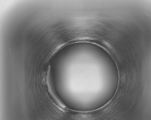 X0000059061361200510212015