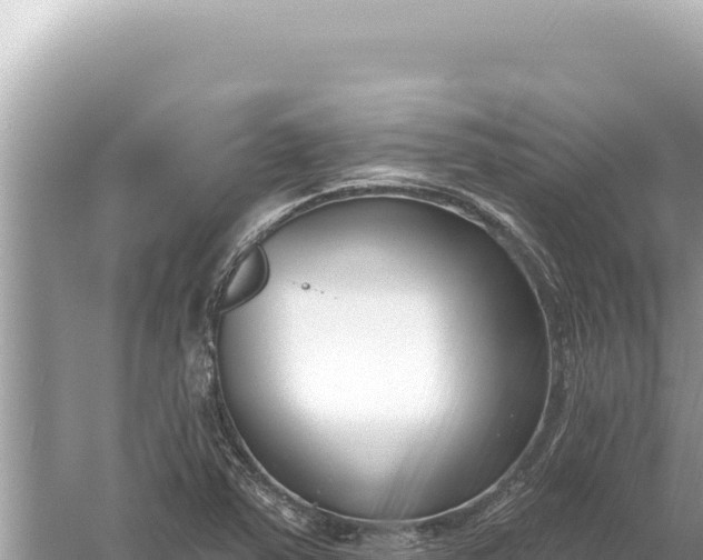 X0000059061363200510212015