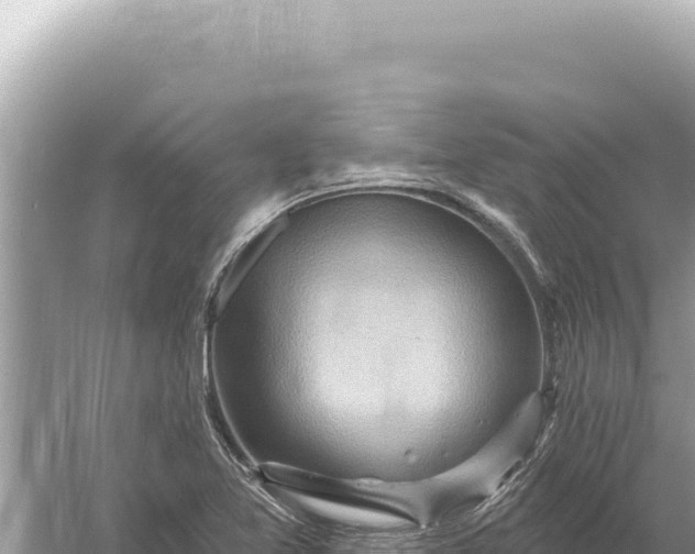 X0000059061365200510212015