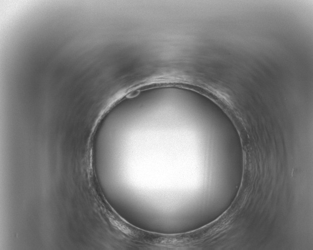 X0000059061366200510212015