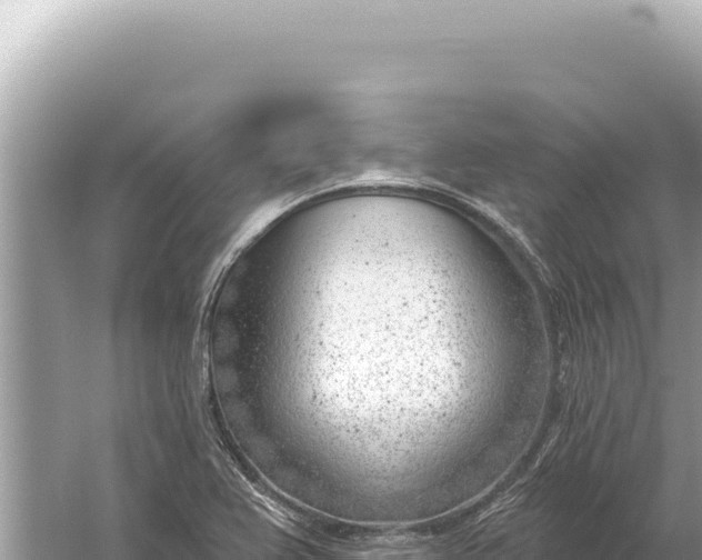 X0000059061367200510212015