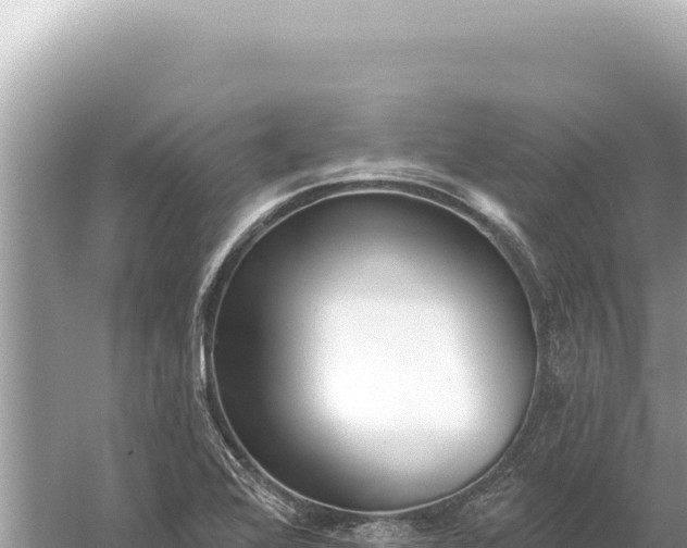 X0000059061368200510212015