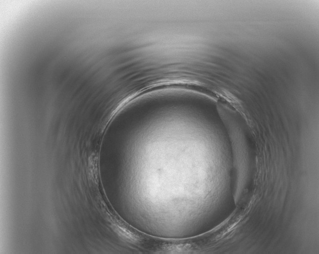 X0000059061369200510212015