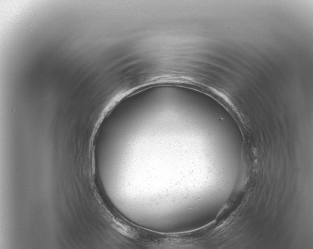 X0000059061371200510212015