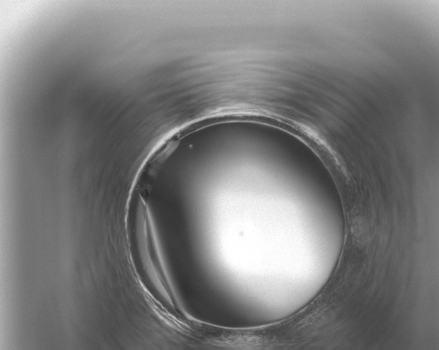 X0000059061372200510212015