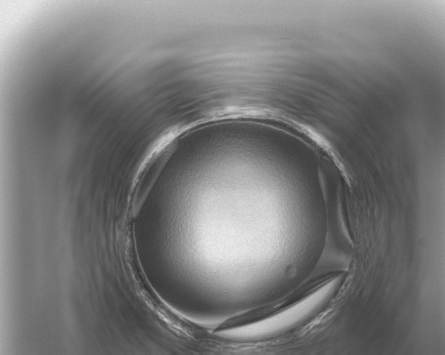 X0000059061373200510212015