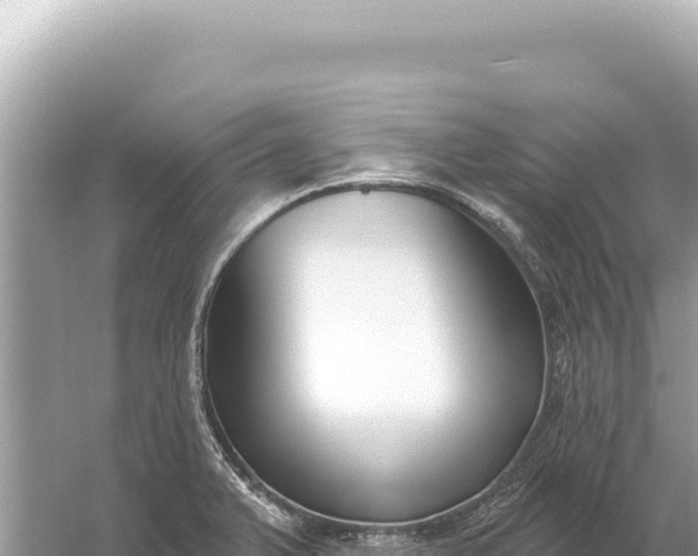 X0000059061375200510212015