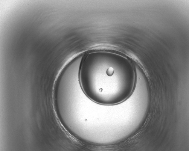 X0000059061376200510212015