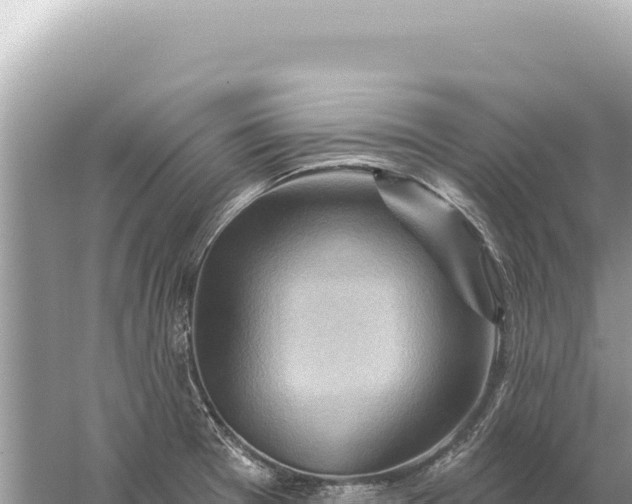 X0000059061377200510212015