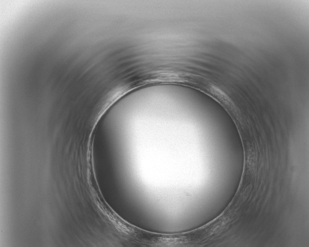 X0000059061378200510212015