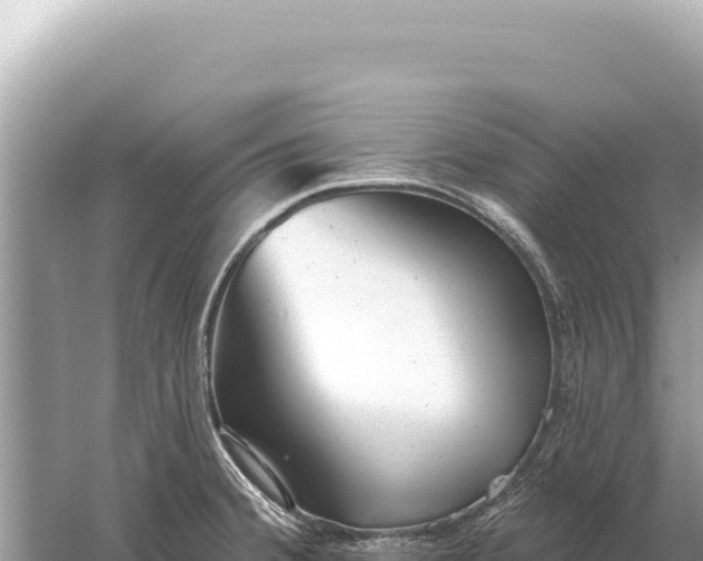 X0000059061380200510212015