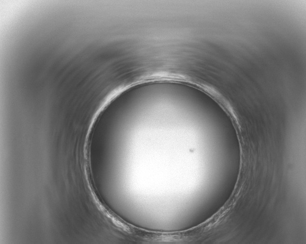 X0000059061381200510212015