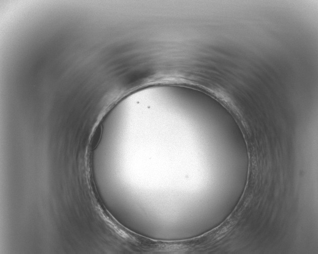 X0000059061382200510212015