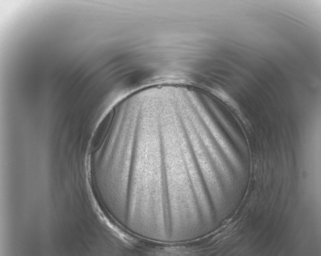 X0000059061383200510212015