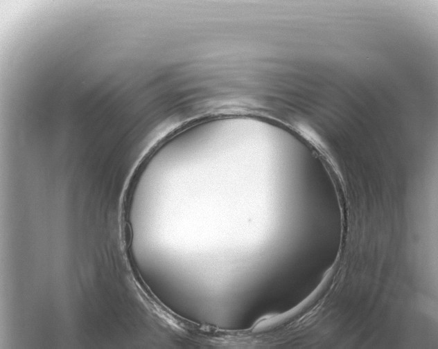 X0000059061384200510212015