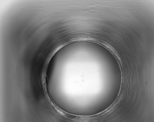 X0000059061385200510212015