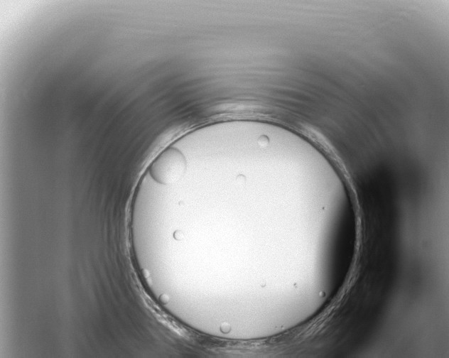 X0000059061386200510212015