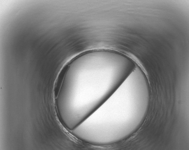 X0000059061388200510212015