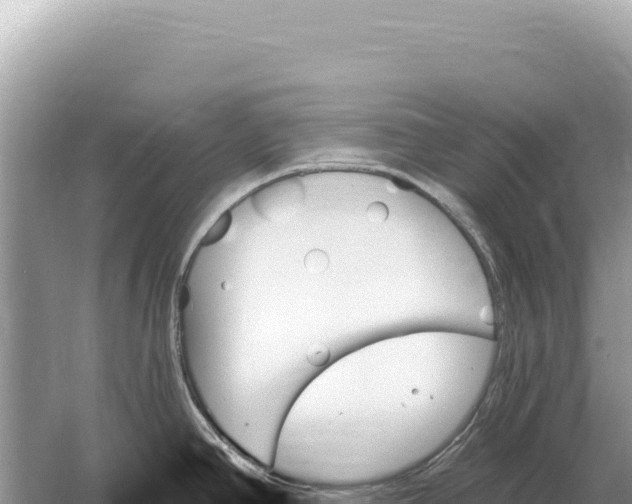 X0000059061390200510212015