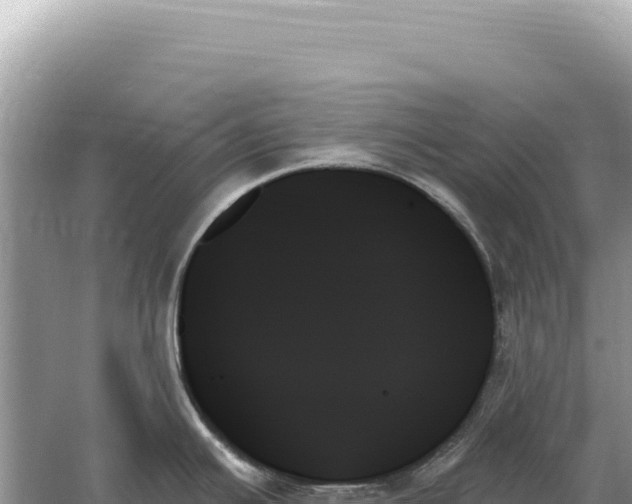 X0000059061391200510212015