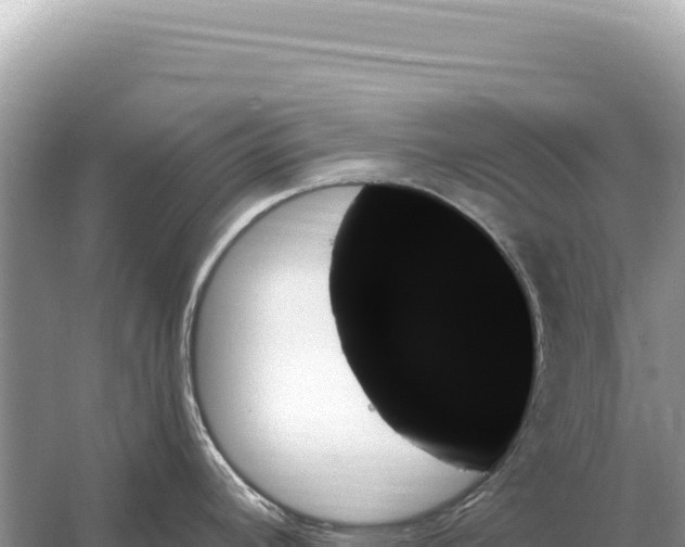 X0000059061392200510212015