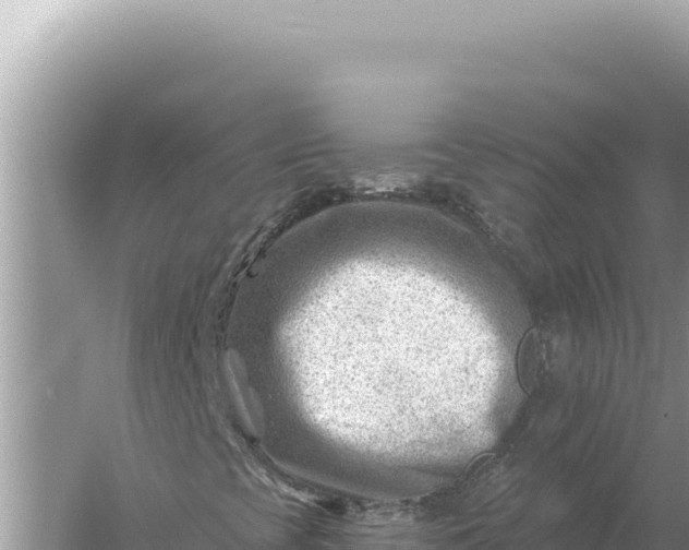 X0000059061393200510212014