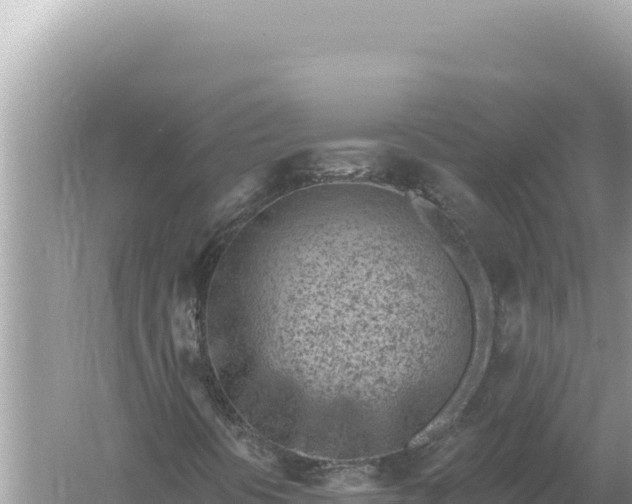 X0000059061394200510212014