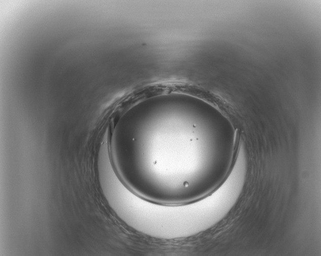 X0000059061398200510212014