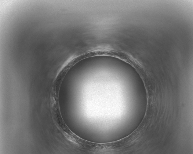 X0000059061400200510212014