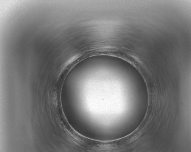 X0000059061402200510212014