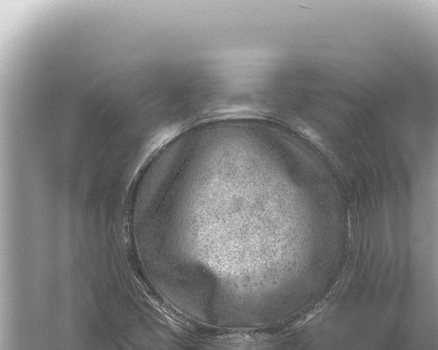 X0000059061405200510212014