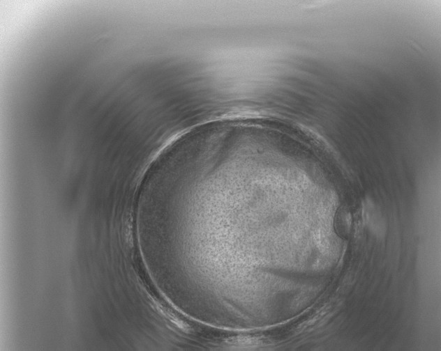 X0000059061409200510212014