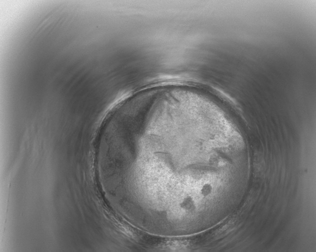 X0000059061411200510212014